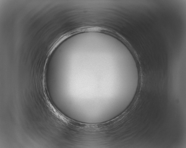 X0000086081194200703231041