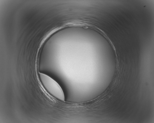 X0000086081195200703231041