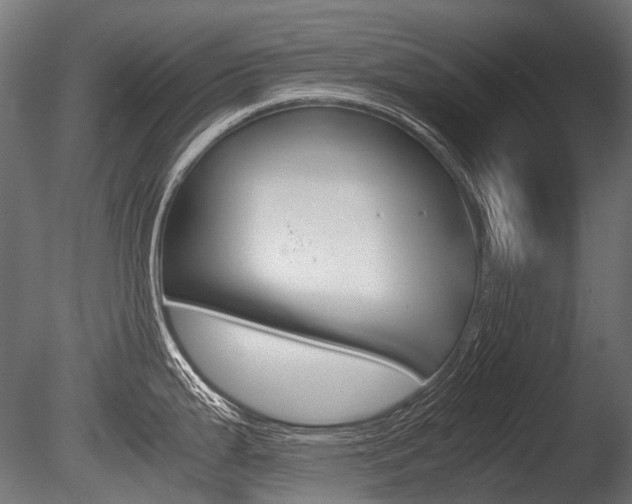 X0000086081199200703231041