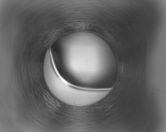 X0000086081202200703231040