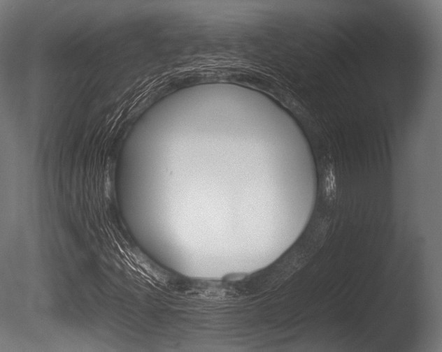 X0000086081204200703231040