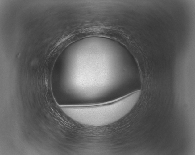 X0000086081206200703231040