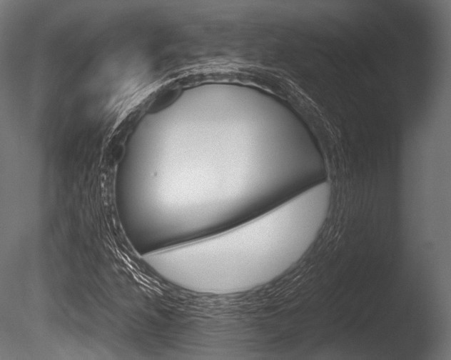 X0000086081208200703231040