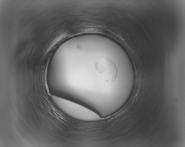 X0000086081211200703231041