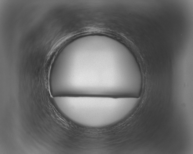X0000086081215200703231041