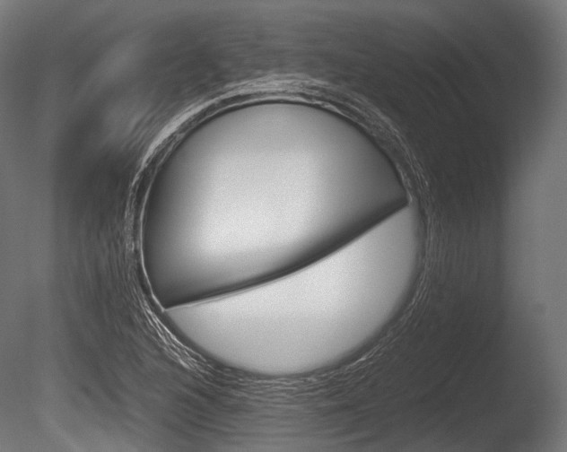 X0000086081216200703231041