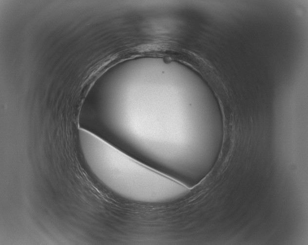 X0000086081217200703231041
