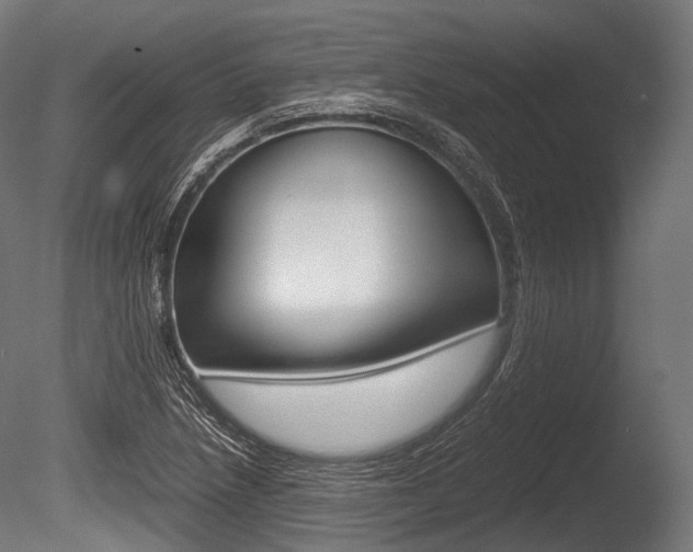 X0000086081218200703231041