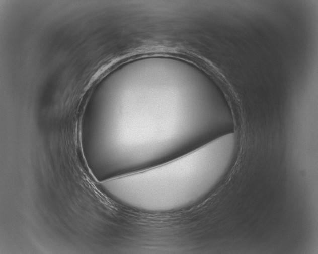 X0000086081220200703231041