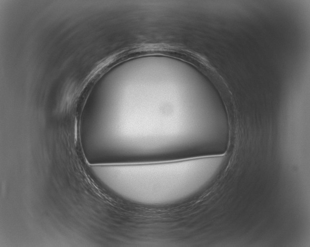 X0000086081221200703231041