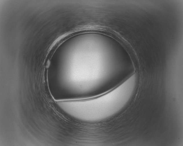 X0000086081222200703231041
