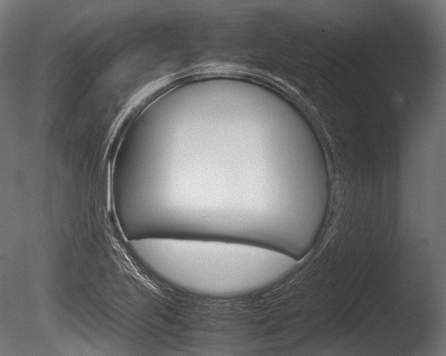 X0000086081223200703231041