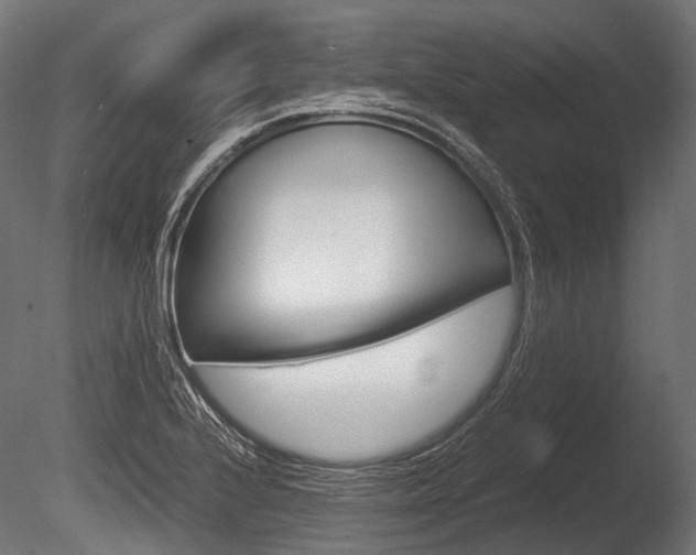 X0000086081224200703231041