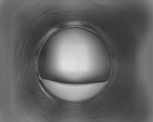 X0000086081225200703231041