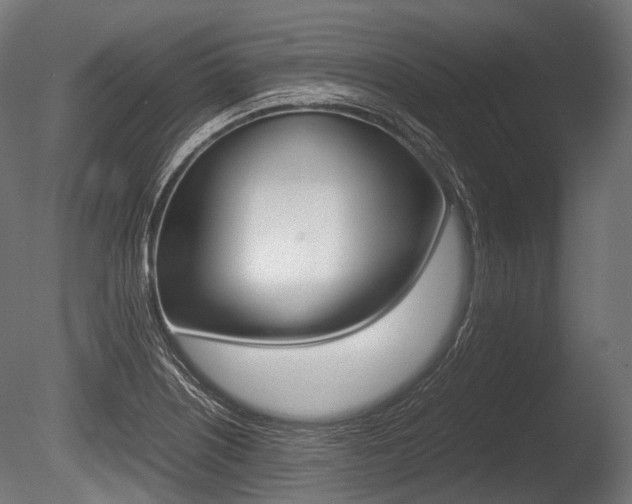 X0000086081226200703231041