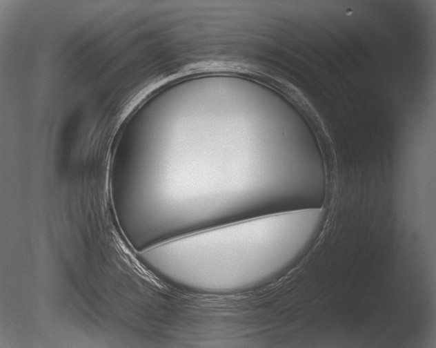 X0000086081228200703231041