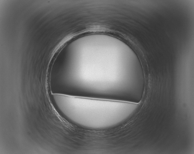 X0000086081229200703231041