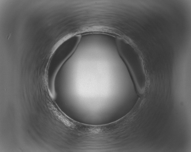 X0000086081230200703231041