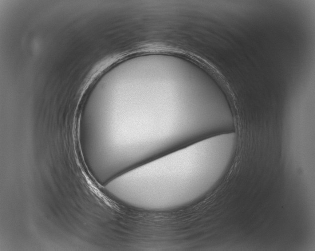 X0000086081231200703231041