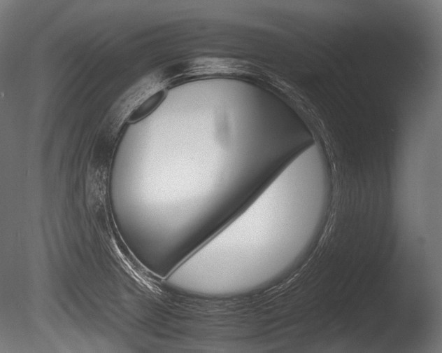 X0000086081233200703231041