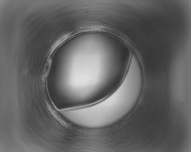 X0000086081234200703231041
