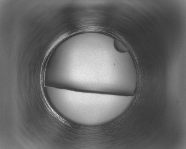 X0000086081235200703231041