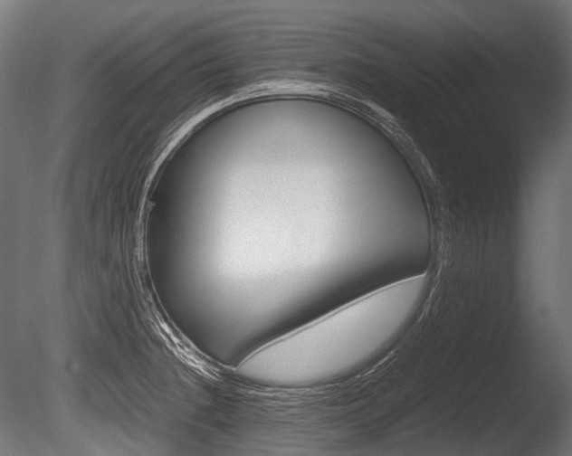 X0000086081236200703231041