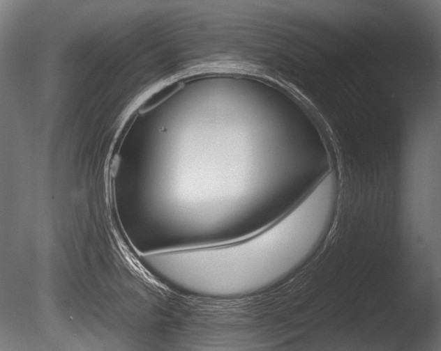 X0000086081238200703231041