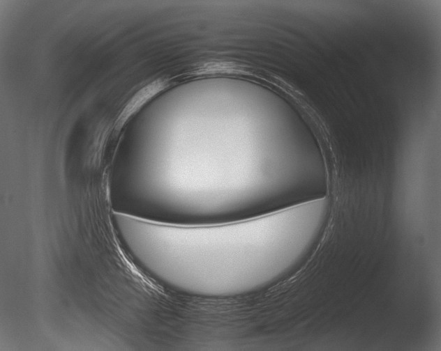 X0000086081241200703231041