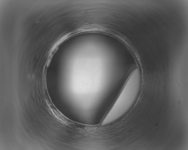 X0000086081242200703231041