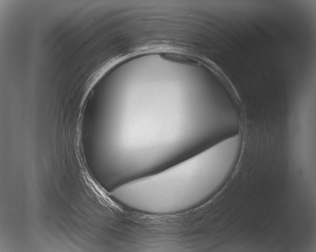 X0000086081244200703231041
