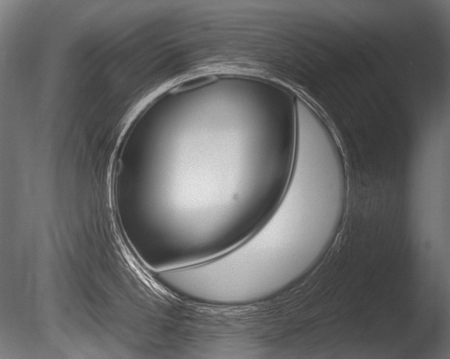 X0000086081246200703231041