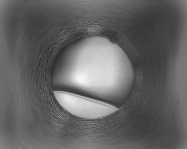 X0000086081249200703231040