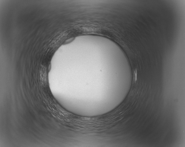 X0000086081251200703231040
