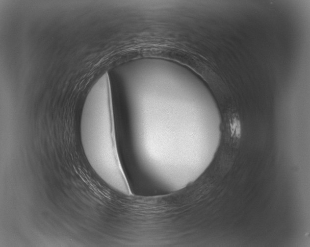 X0000086081252200703231040