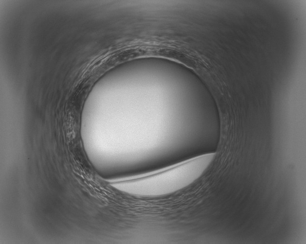 X0000086081253200703231040