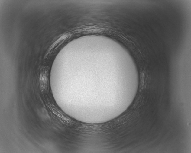 X0000086081254200703231040
