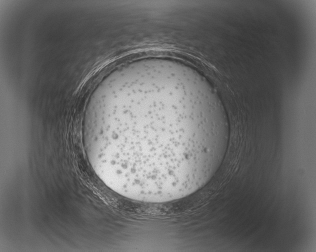 X0000086081255200703231040