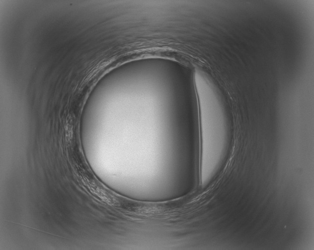 X0000086081257200703231040