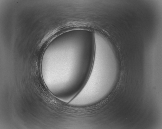 X0000086081261200703231040