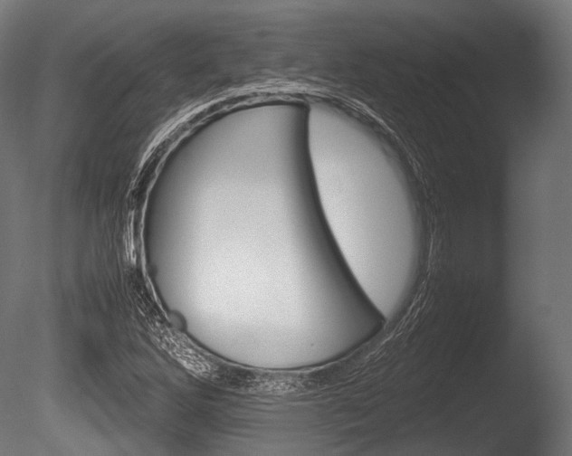 X0000086081262200703231040