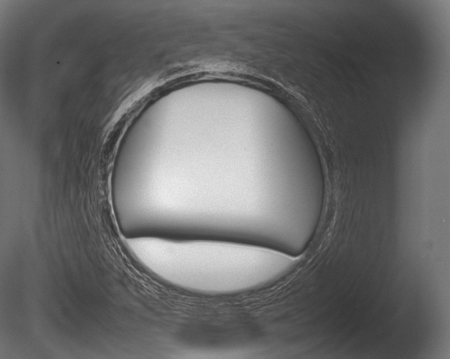 X0000086081263200703231040