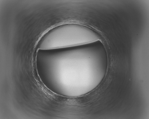 X0000086081264200703231040