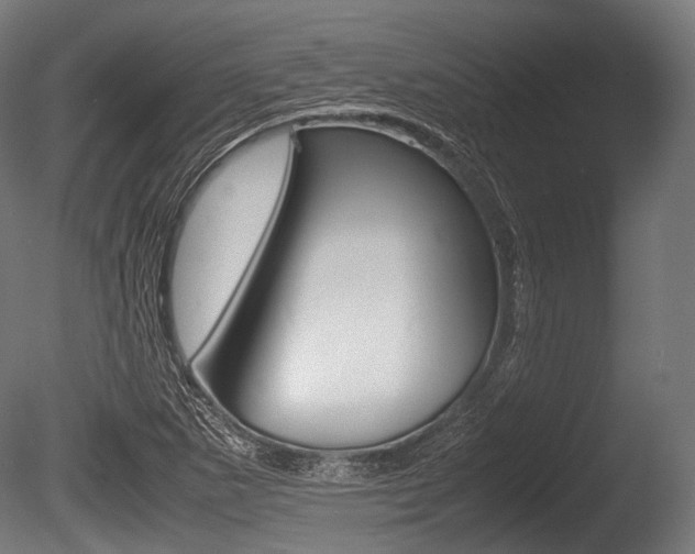 X0000086081265200703231040