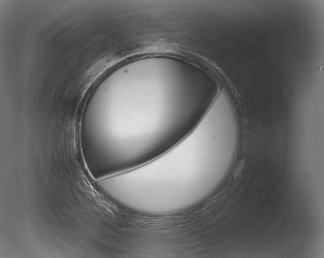 X0000086081268200703231040