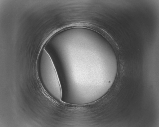 X0000086081276200703231040
