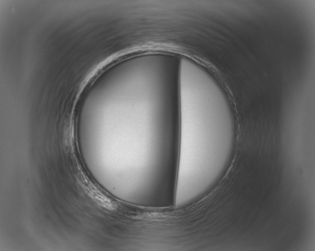 X0000086081280200703231040