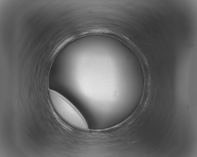 X0000086081281200703231040