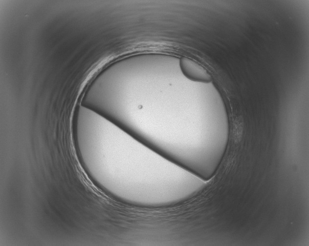 X0000086081283200703231040