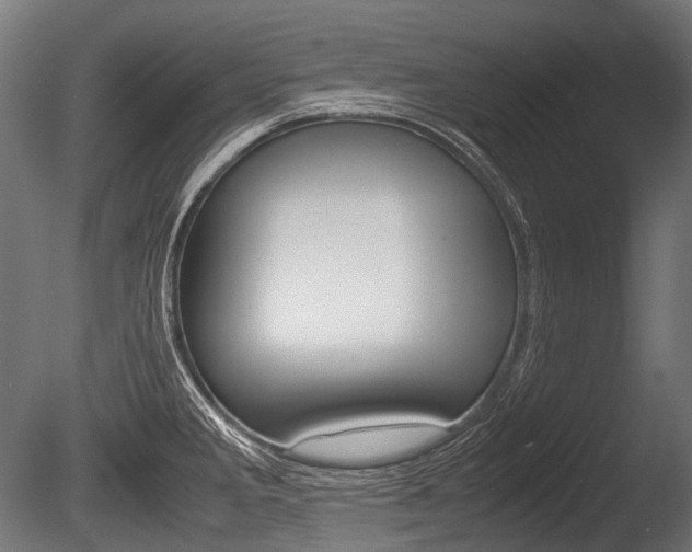 X0000086081285200703231040